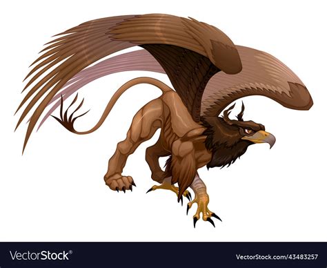 Portrait of a gryphon half eagle and lion Vector Image