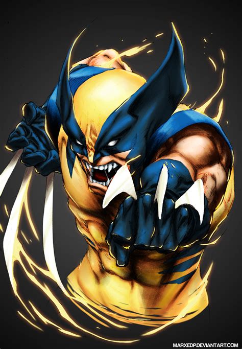 Wolverine - Marvel by MarxeDP on deviantART | Wolverine marvel, Wolverine comic, Wolverine