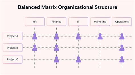 Matrix Organizational Structure: Complexity and Efficiency | Motion ...