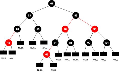 Red Black Trees (with implementation in C++, Java, and Python) | Algorithm Tutor