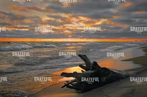 Seaside Sunset - Grateful Art Licensing