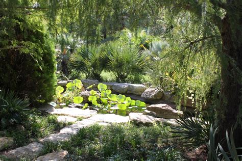 Zilker Botanical Gardens hike - Austin Sierra Club Outings (Austin, TX) | Meetup