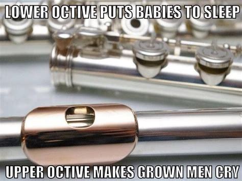 Lower octave puts babies to sleep. Upper octave makes grown men cry. | Band problems, Band geek ...