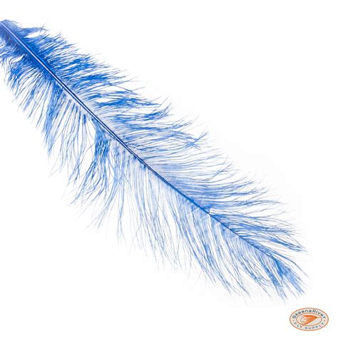 Ostrich Spey Feathers | Skeena River Fly Supply