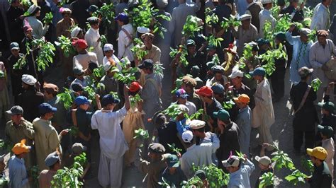 Kalash Kafiristan Chitral – Chilam Josh Festival (10) – Paki Mag