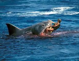 WizardofBaum: HISTORY OF REPORTED FATAL SHARK ATTACKS IN UNITED STATES HISTORY