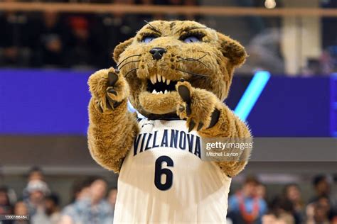 The Villanova Wildcats mascot on the floor during a college... News ...