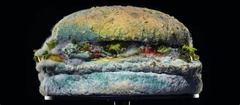 Burger King’s Moldy Whopper Succeeded Miserably. Here’s Why: | Ace Metrix