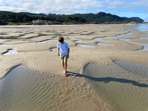 Things to do in Waldport on the Oregon Coast | Meredith Lodging