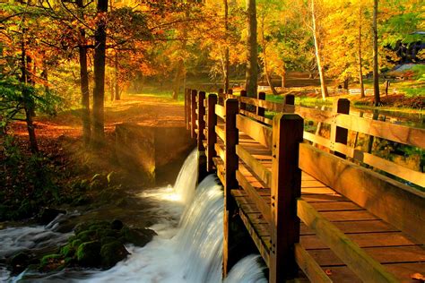 leaves, Park, Alley, Trees, Forest, Autumn, Walk, Hdr, Nature, River, Water, View, Fall, Bridge ...