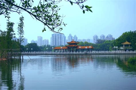 Top 10 Shenzhen Attractions, What to See in Shenzhen