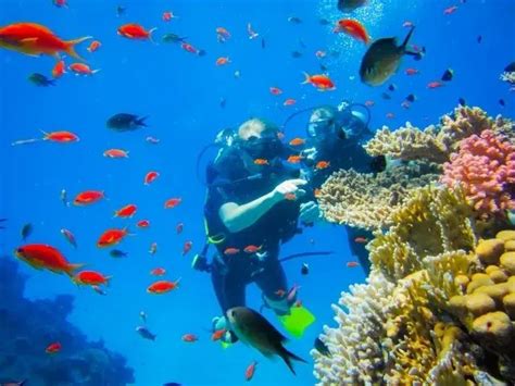 Top Tourist Attractions in Sharm El-Sheikh | Travelandoo