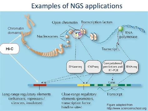 Intro to NGS analysis Proficio course 2020 NGS