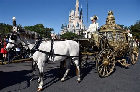 VIDEO: Walt Disney World features "Frozen" characters, "Cinderella ...