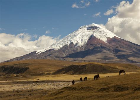 Cotopaxi National Park, Ecuador | Audley Travel US