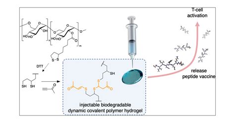 Dynamic Covalent Dextran Hydrogels as Injectable, Self-Adjuvating Peptide Vaccine Depots | ACS ...