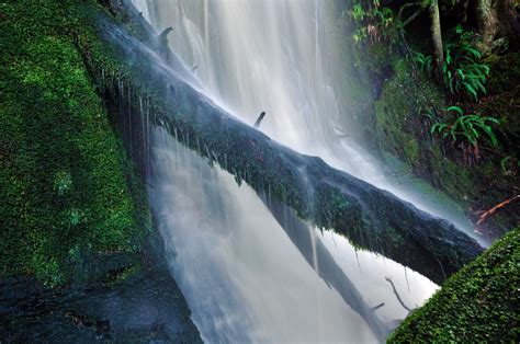 Shutterbugs Capturing the World Around Us: Rainforest waterfall