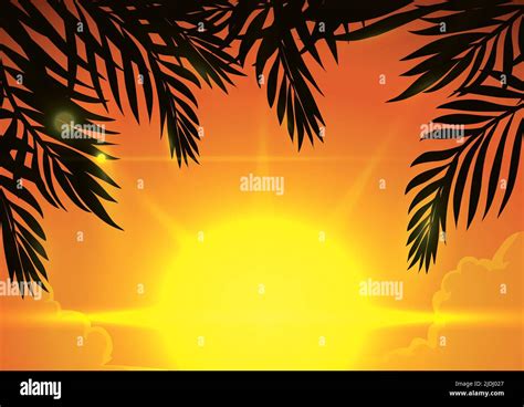 Leaves sun flare Stock Vector Images - Alamy