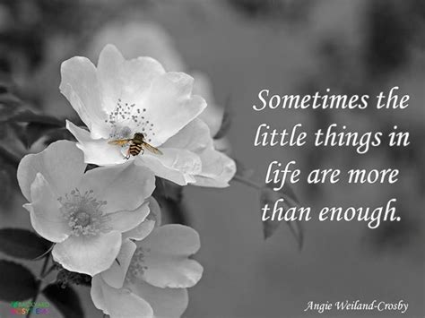 "Sometimes the little things in life are more than enough." Angie Weiland-Crosby #FoodforThought ...