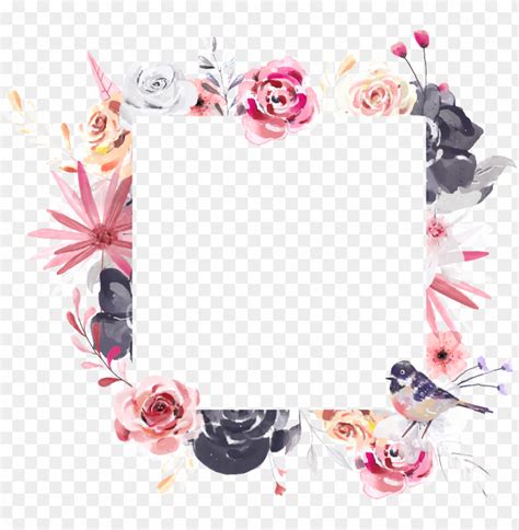 Hand Painted Square Flower Frame Png Transparent - Transparent Square ...