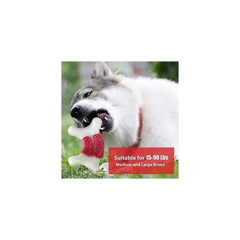 Chew Toys for Large Dogs - Buy Online