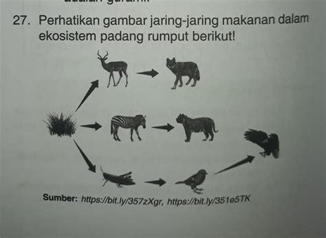 Contoh Ekosistem Padang Rumput - 53+ Koleksi Gambar