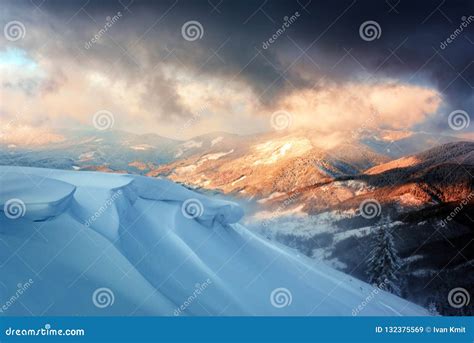 Dramatic Wintry Scene with Snowy Trees. Stock Image - Image of light, hoarfrost: 132375569