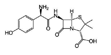 Molecular structure of amoxicillin | Download Scientific Diagram