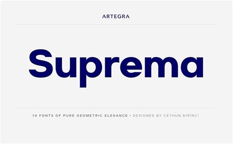 Las 45 mejores tipografías para logos en 2020 | Natural logo, Modern ...