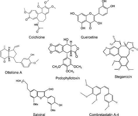 Plant-derived anti-tubulin molecules which bind to tubulin on the... | Download Scientific Diagram