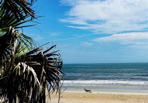 Ormond Beach Photograph by Miosotis Jade - Fine Art America