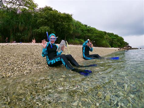 Great Barrier Reef Marine Conservation | Volunteer in Australia 2025