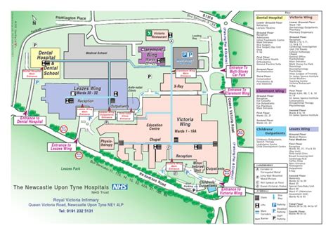 Royal Victoria Hospital Newcastle Site Map | Hospital And Clinic ...