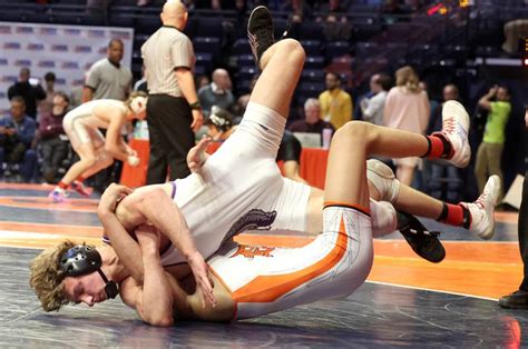 Photos: IHSA state wrestling individual finals third and fifth place ...