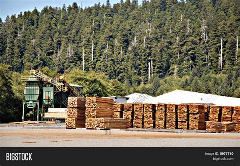 Lumber Mill Image & Photo (Free Trial) | Bigstock