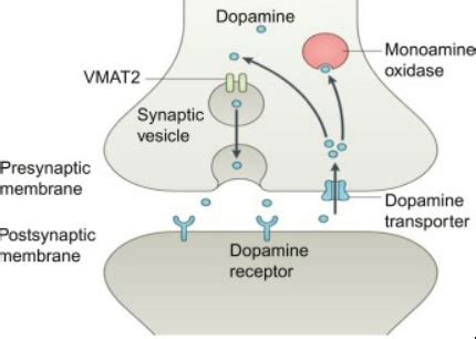 VMAT2 Inhibitor Shown to Improve Tardive Dyskinesia Symptoms