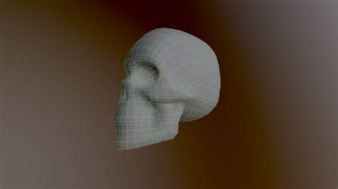 3D model Human Skull Low Poly 3D model - TurboSquid 2056769