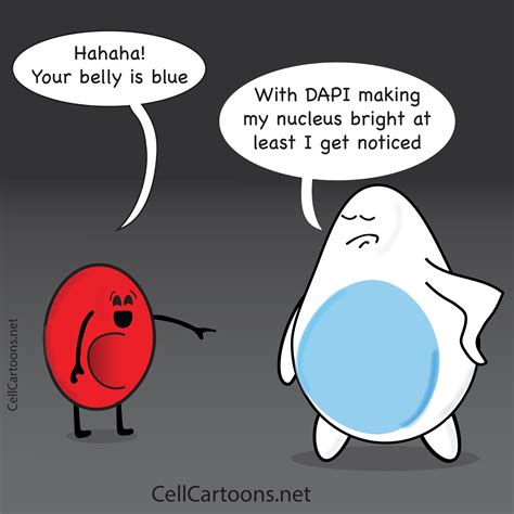 Cell Cartoons - Blue nucleus! Click on the link to see a...