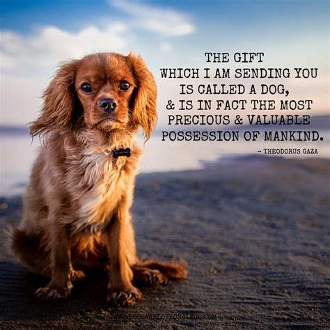 10 Greatest Dog Quotes That Prove A Dog Is The Best Gift - Dogs Are ...