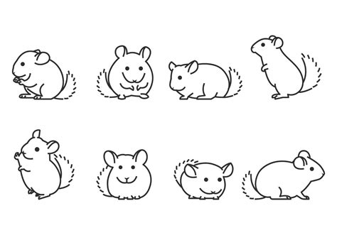 Pin by Otaku on chinchilla | Chinchilla, Easy drawings, Chinchilla cute