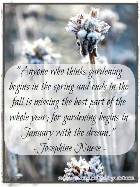 gardening is… | QUOTES | Pinterest | Garden quotes, Spring garden, Winter garden