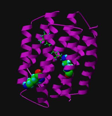 Rhodopsin: Genetic Music