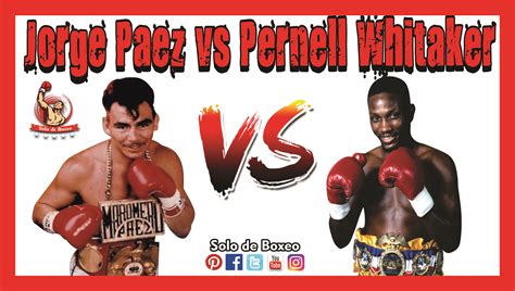 JORGE EL MAROMERO PAEZ vs PERNELL WHITAKER HIGHLIGHTS | Boxeo, Youtube ...