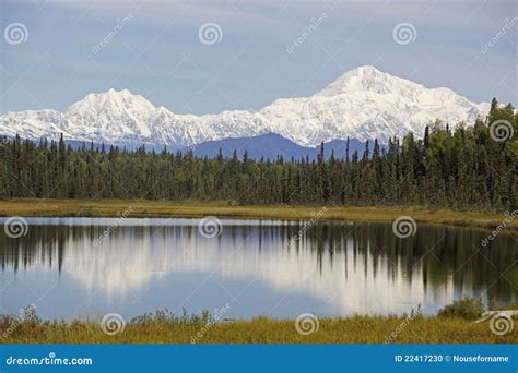 Alaska Denali mountain stock photo. Image of glen, alpine - 22417230