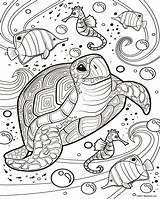 Coloring Pages Of Ocean Life sketch template
