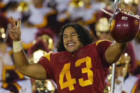 USC's Troy Polamalu and Charles Ane Jr. are named to Polynesian ...