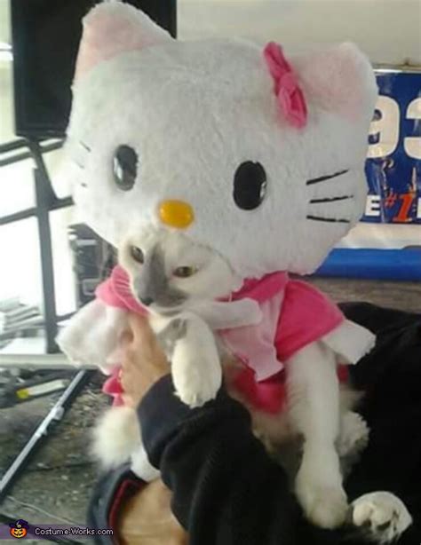 Hello Kitty Cat Costume | Creative DIY Costumes