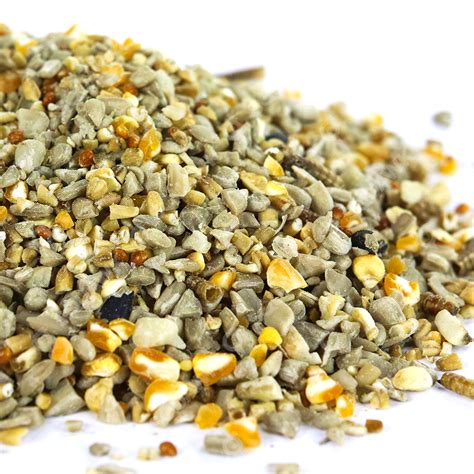 SQUAWK Robin & Songbird Food - Premium Grade Wild Bird Seed Mix For ...