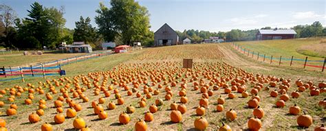 Fall Farm Fun | Marylands Best