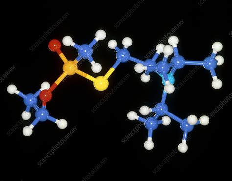 VX nerve gas molecule - Stock Image - A700/0115 - Science Photo Library